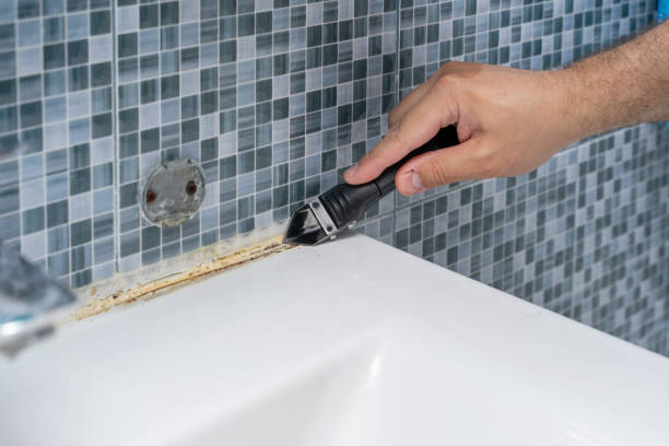 Best Mold Remediation  in New Waverly, TX